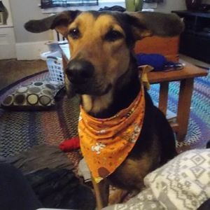 Meet your Posher, Alison